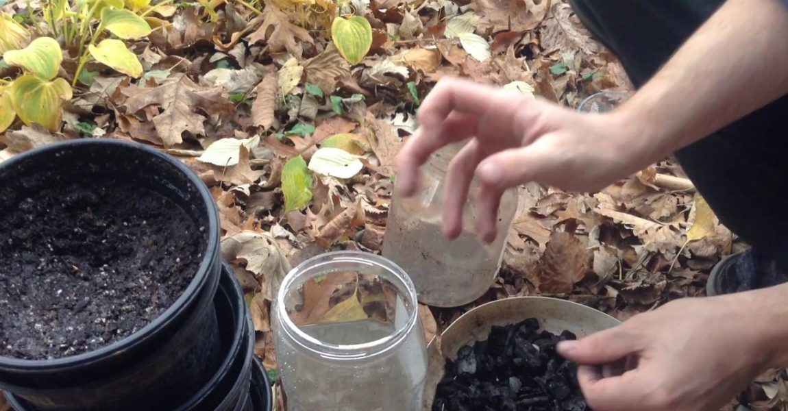 Charcoal Water Filter Experiment