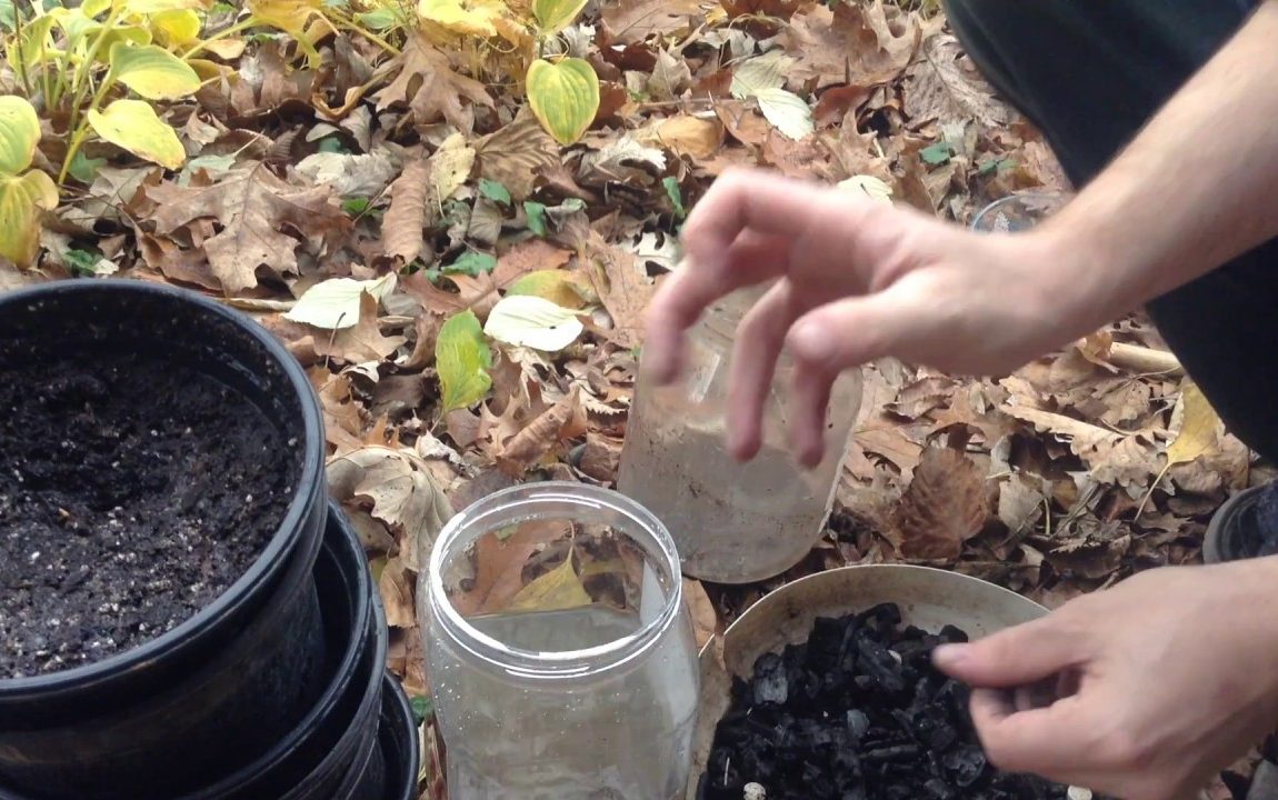 Charcoal Water Filter Experiment