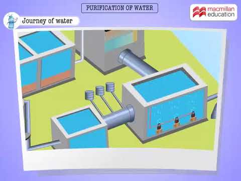 Purification of water | Macmillan Education India