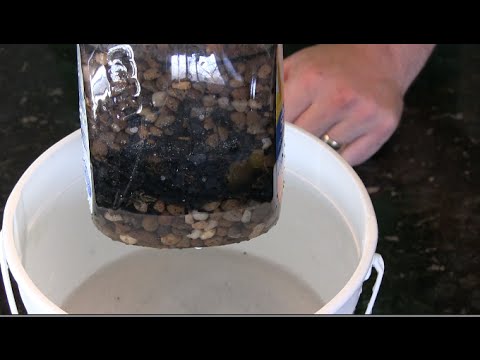 How to Make a FREE and Simple DIY Garden Water Filter