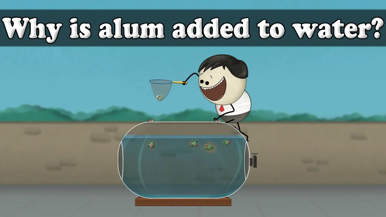 Water Purification Why is alum added to water? aumsum kids 
