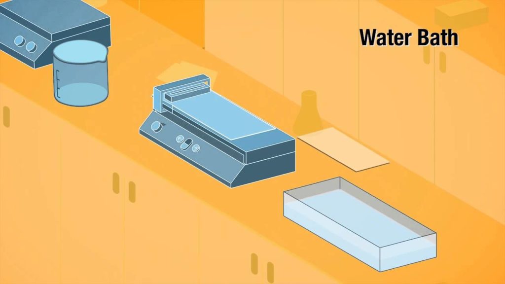 Polymer - CNT Membranes for Desalination & Water Filtration (Scientific Animation)