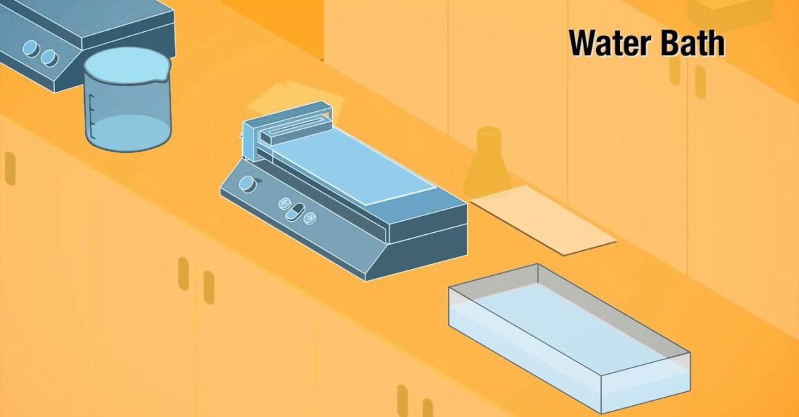 Polymer - CNT Membranes for Desalination & Water Filtration (Scientific Animation)