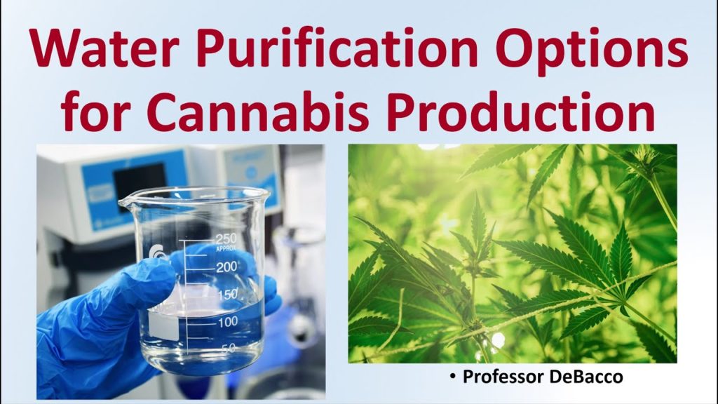 Water Purification Options for Cannabis Production