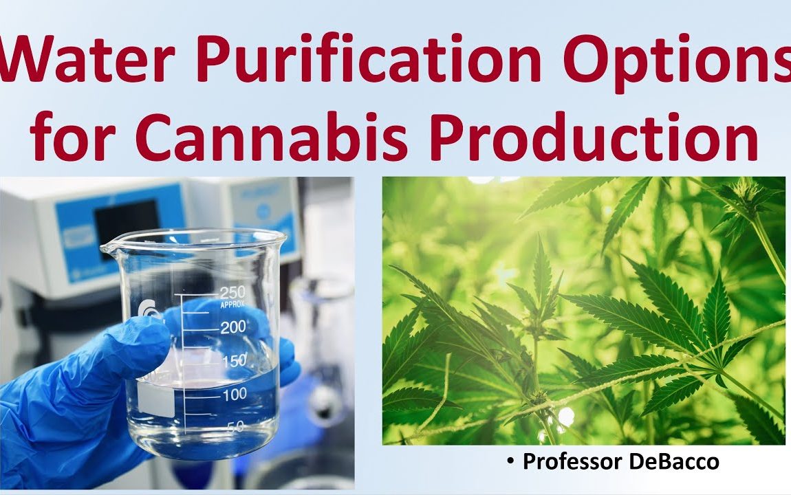 Water Purification Options for Cannabis Production