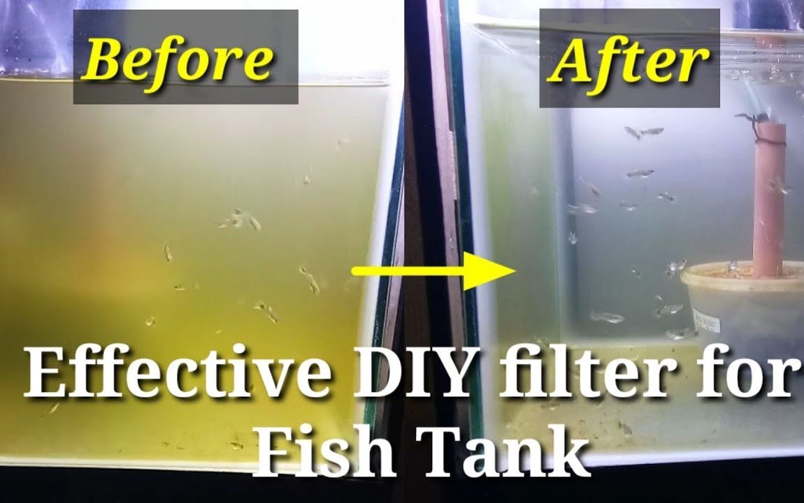 Best DIY filter for Fish Tank 2020 using Airpump(Clears green water) with Result..