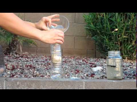 Kid Science: Make a Mini Water Filter