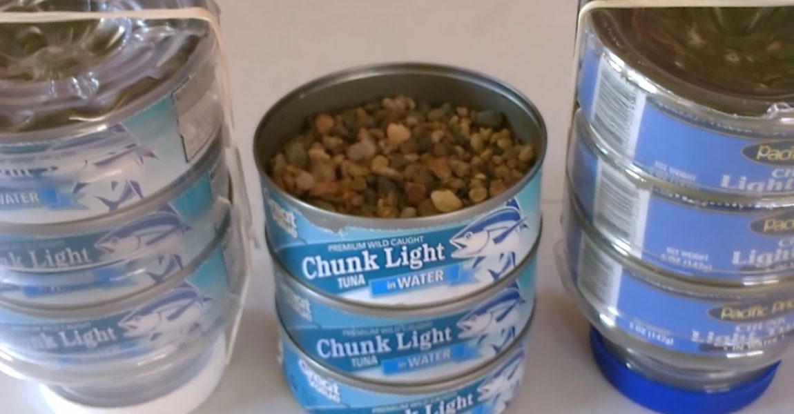 Homemade Water Filter Purifier! - The "3-Tuna-Can" Water Purifier! - Easy DIY