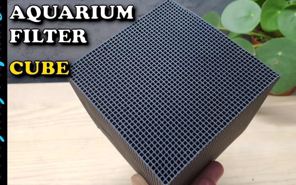 AQUARIUM WONDER CUBE? | Eco-Aquarium Activated Carbon Filter Water Purifier