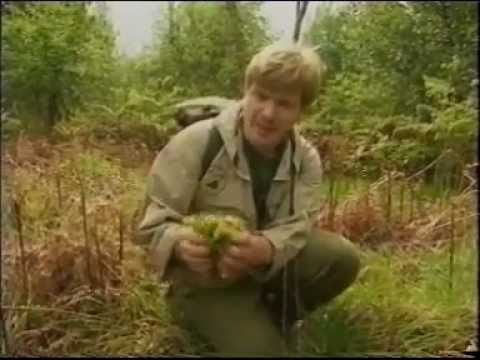Ray Mears Tracks water filter