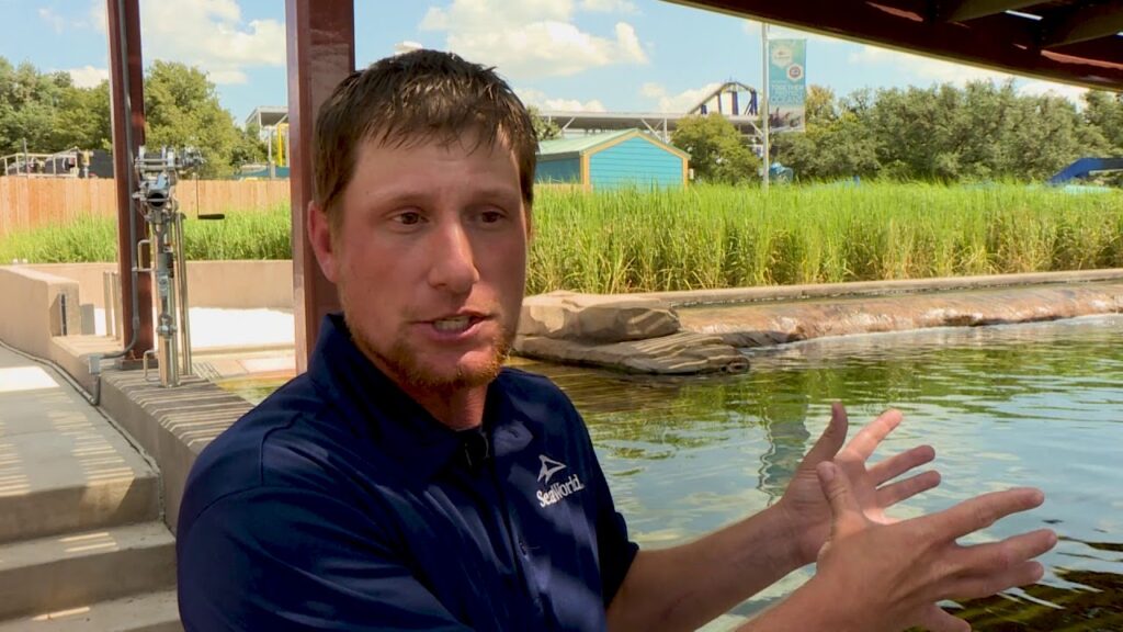KLRN SciTech Now Shorts: Sea World Water Filtration