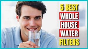 Best Whole House Water Filtration Systems [Water Filtration]