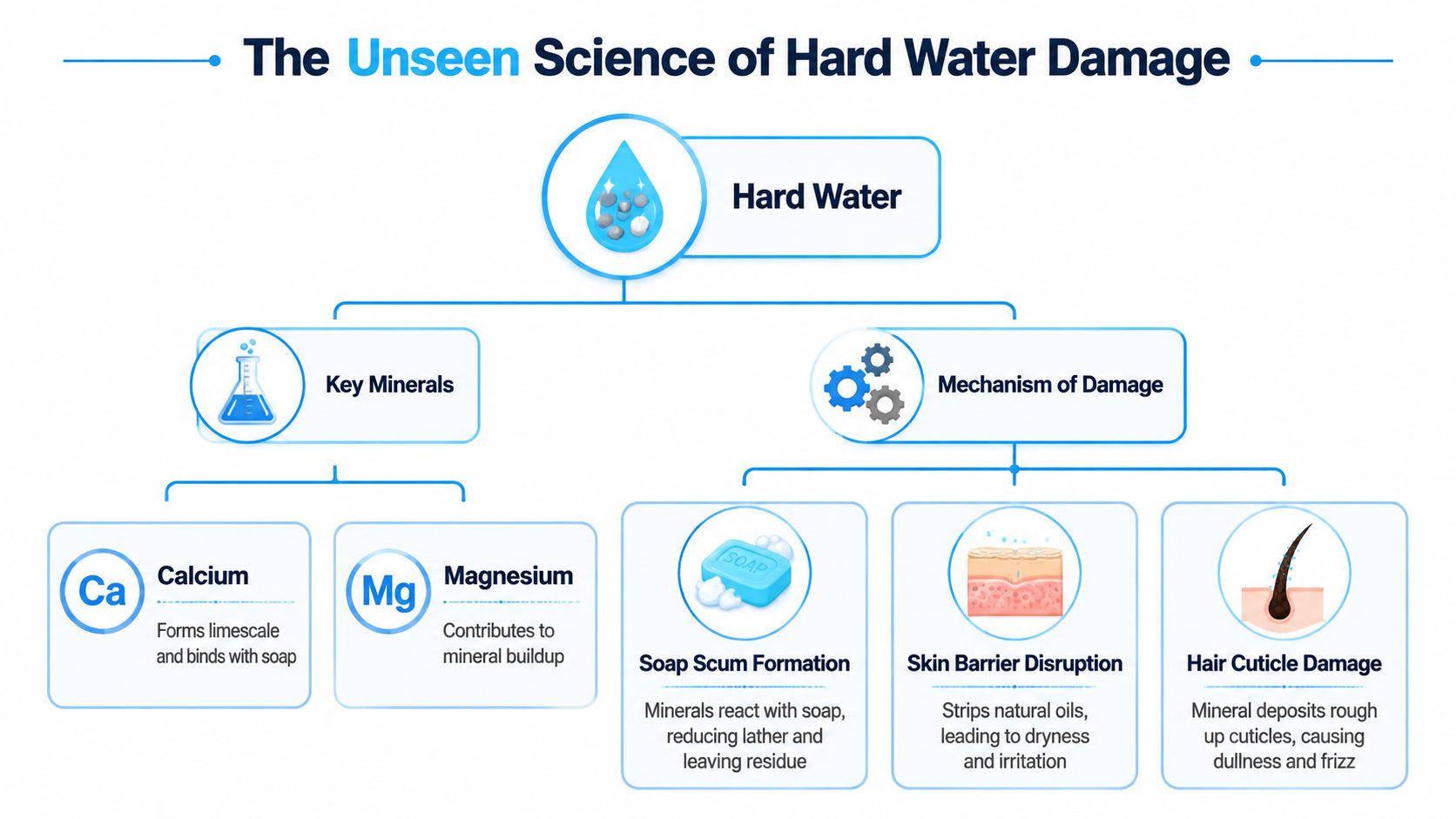A diagram illustrating how hard water minerals like calcium and magnesium cause skin and hair damage.