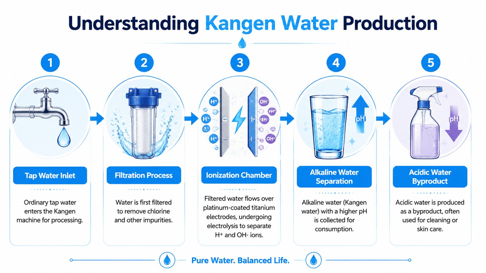 An infographic diagram illustrating the five stages of the Kangen water production process from filtration to ionization.