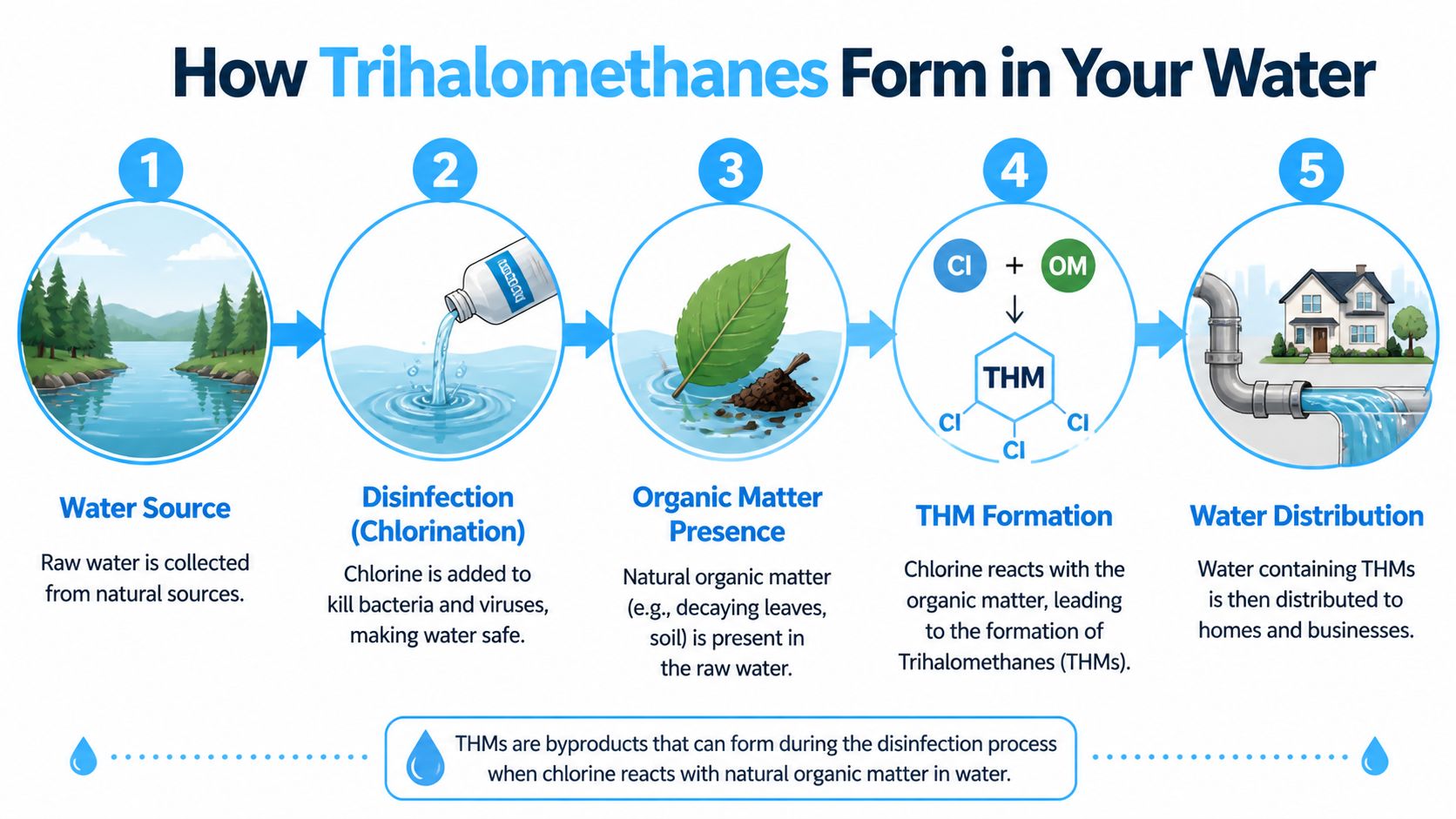 An infographic showing the five-step process of how trihalomethanes form in water supplies through chlorine and organic matter.