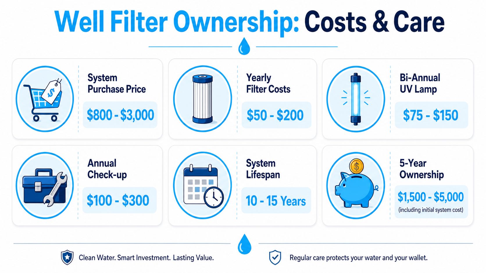 An infographic detailing the costs and maintenance requirements for residential well water filter systems over time.