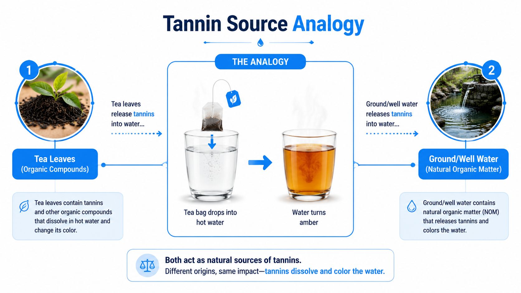 An infographic explaining how natural organic matter in ground water releases tannins similar to tea leaves.