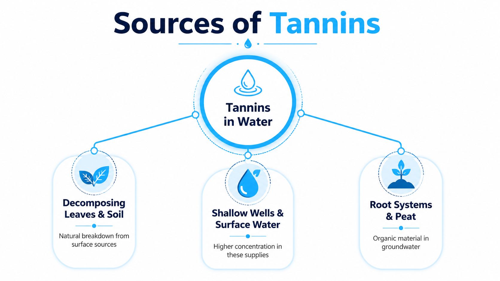 A diagram explaining the natural environmental sources of tannins found in water supplies and ground water.
