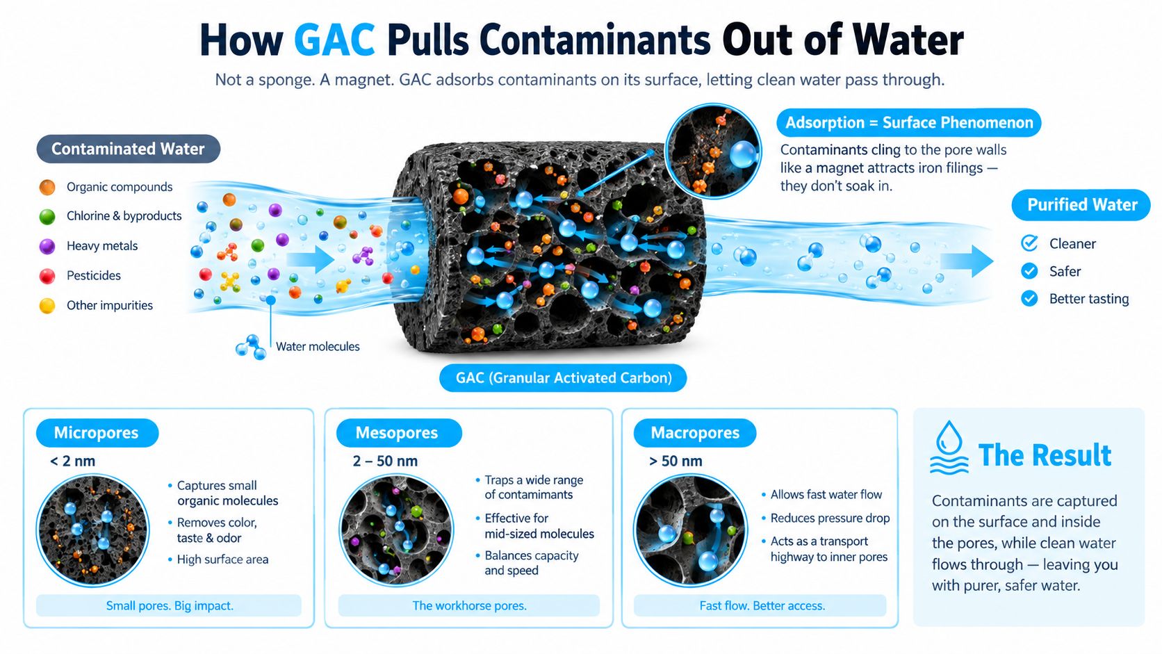 An infographic showing how granular activated carbon removes contaminants from water through the process of adsorption.