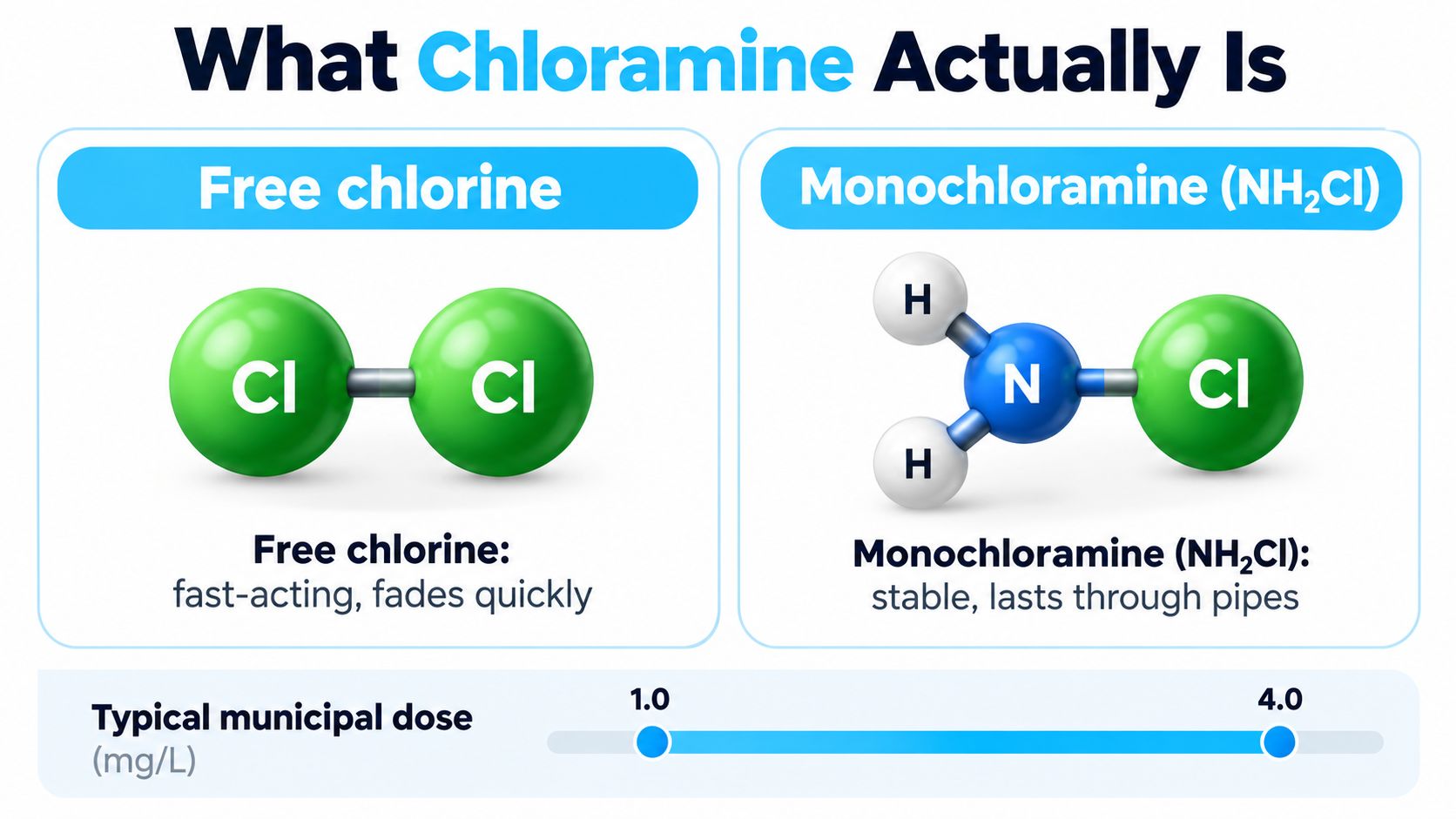 An educational infographic comparing the chemical structures and characteristics of free chlorine and monochloramine in water treatment.